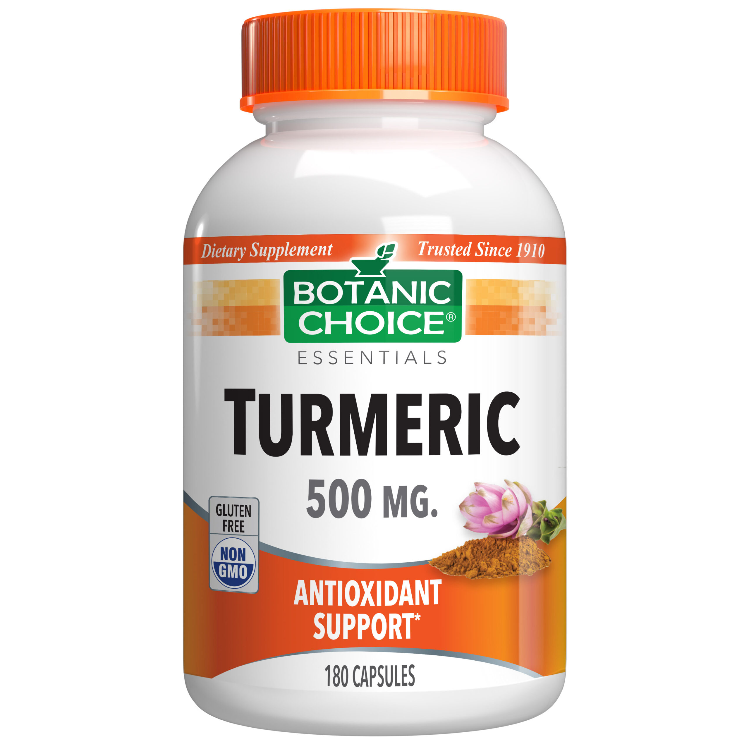 Botanic Choice Turmeric 500 mg - Joint Support Supplement - 180 Capsules