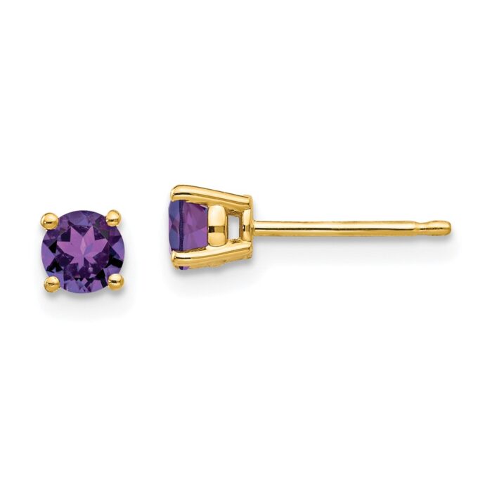 XE71AM 14K Yellow Gold 4 mm Amethyst Earrings