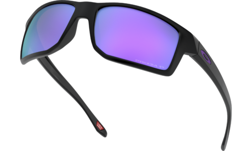 Oakley Men's Gibston Sunglasses