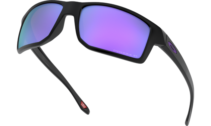 Oakley Men's Gibston Sunglasses