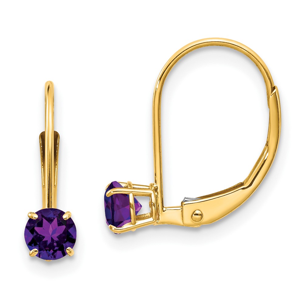 XBE74 14K Yellow Gold Amethyst February Earrings