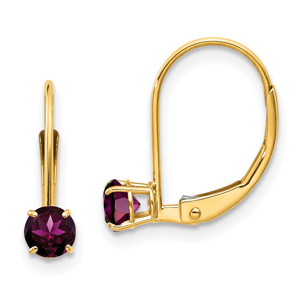 XBE78 14K Yellow Gold 4 mm Round June & Rhodolite Leverback Earrings